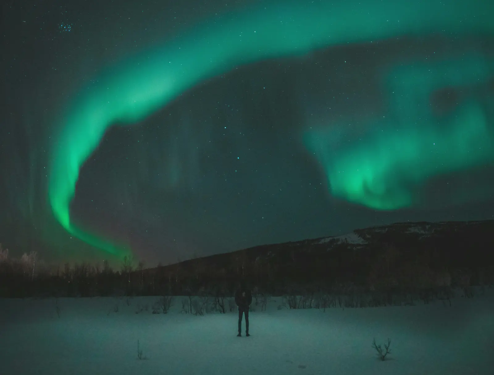 Photo of Person Under Night Sky. [Photo by Tobias Bjørkli from Pexels](https://www.pexels.com/photo/photo-of-person-under-night-sky-1819651/)